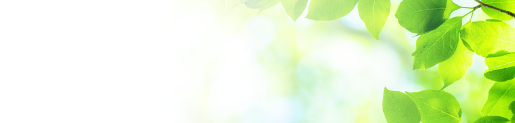 西東京市西原町・おばら歯科医院・価格表