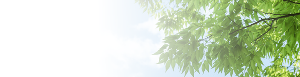 西東京市西原町・おばら歯科医院・求人案内