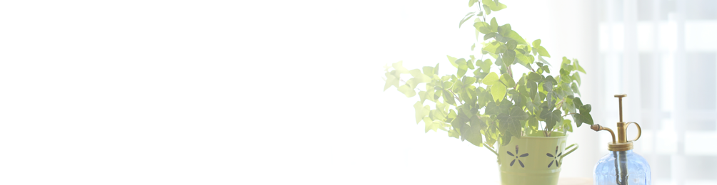 西東京市西原町・おばら歯科医院・診療案内