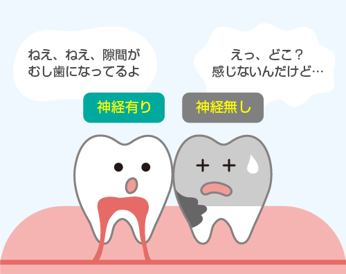 治療後は定期検診によって歯を守りましょう